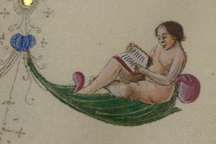 A reader in their natural state in the margin of Morgan MS M279.